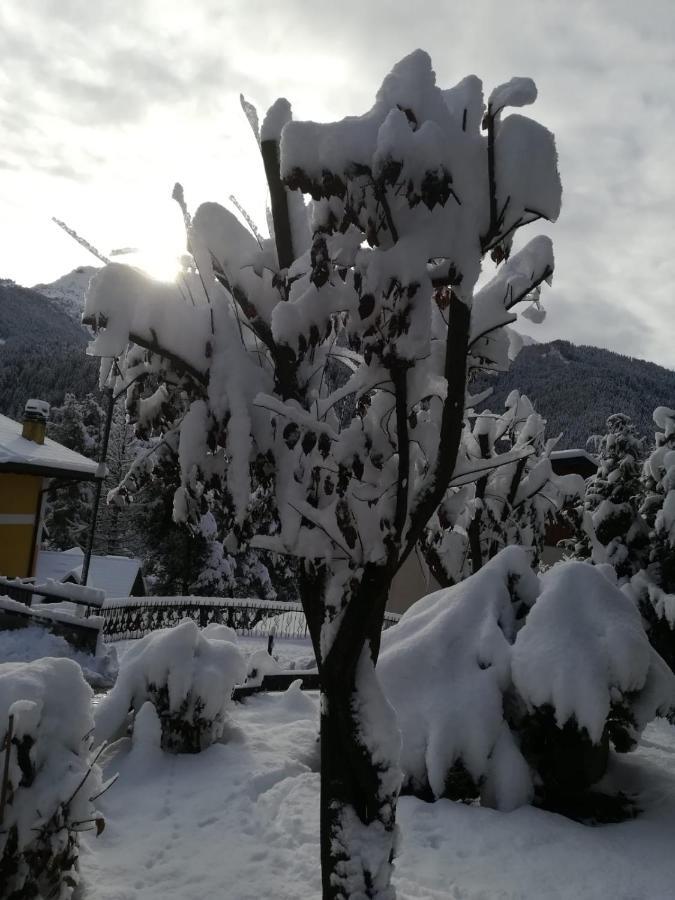 Villa d'Allegno Il Nido B&B מראה חיצוני תמונה